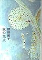 秋の花火
