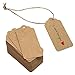 300 Feet Natural Jute Twine and 100PCS Brown Rectangle Kraft Paper Gift Tags for Crafts & Price Tags Labels by Blisstime