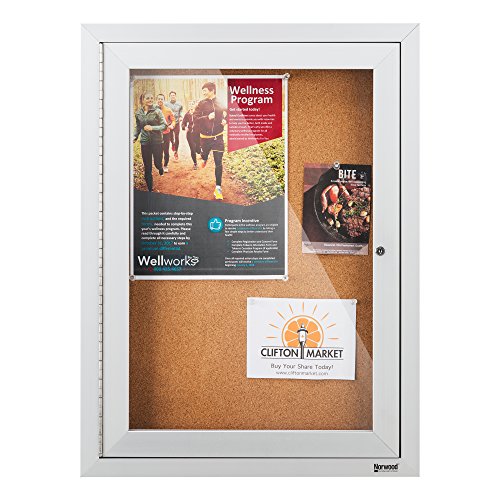 Norwood Commercial Furniture NOR-ATA-1000-SO Outdoor/Indoor Enclosed Cork, Bulletin Board with One Door, 18