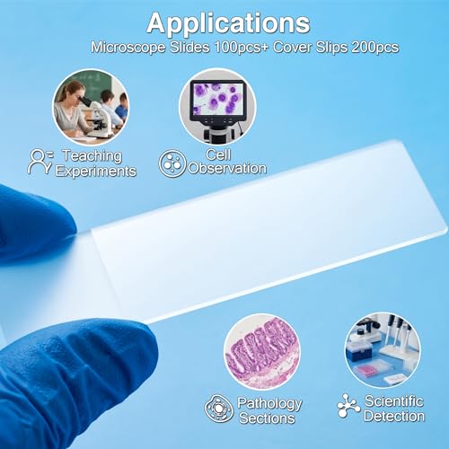 Lames de microscope pour cours de biologie et observations scientifiques à la maison