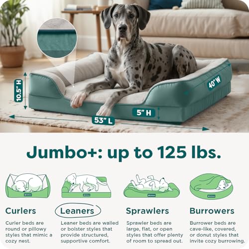 FurHaven Cooling Gel Dog Bed for Large Dogs, Perfect Comfort Sofa Bed, Cool Gel-Top & Orthopedic Foam Base for Joint Support, Removable Washable Cover, Jumbo Plus XXL, Plush & Velvet, Celadon Green