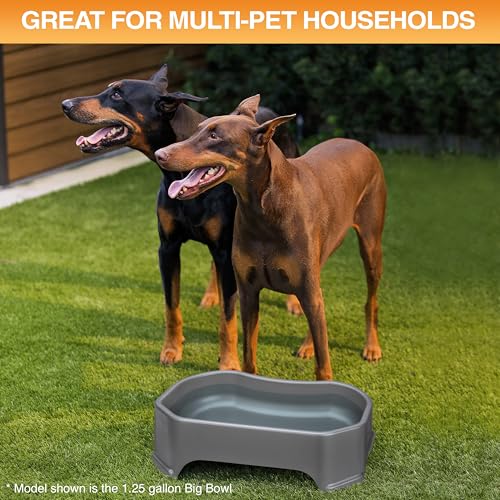 Image of Neater Pet Brands Giant Bowl - Extra Large Water Bowl for Dogs (2.25 Gallon Capacity, 288 oz) - Gunmetal Grey