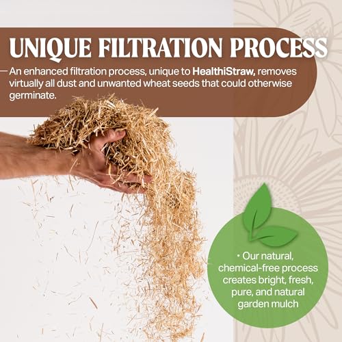 HealthiStraw GardenStraw, 3 cu ft (20 lbs) Pack of 1 – All-Natural Mulch for Gardens, Vegetables Lawn Seeding – Water-Conserving Wheat Straw – Cleaned, Sustainably Sourced