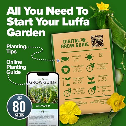 Image of HOME GROWN Luffa Seeds 80+ Heirloom Non-GMO Loofah Gourd Seeds for Planting, High Germination, Natural Bath Sponges, Edible Vining Vegetable Garden, Harvest Young Gourd (Luffa aegyptiaca)