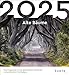 Produktbild Alte Bäume - KUNTH Postkartenkalender 2025: Hochwertiger Tischkalender mit 53 traumhaften Postkarten (auch zum Aufhängen)