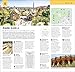 DK Top 10 Barcelona: Top 10 lists for your perfect trip, plus an all-weather folded map (Pocket Travel Guide)