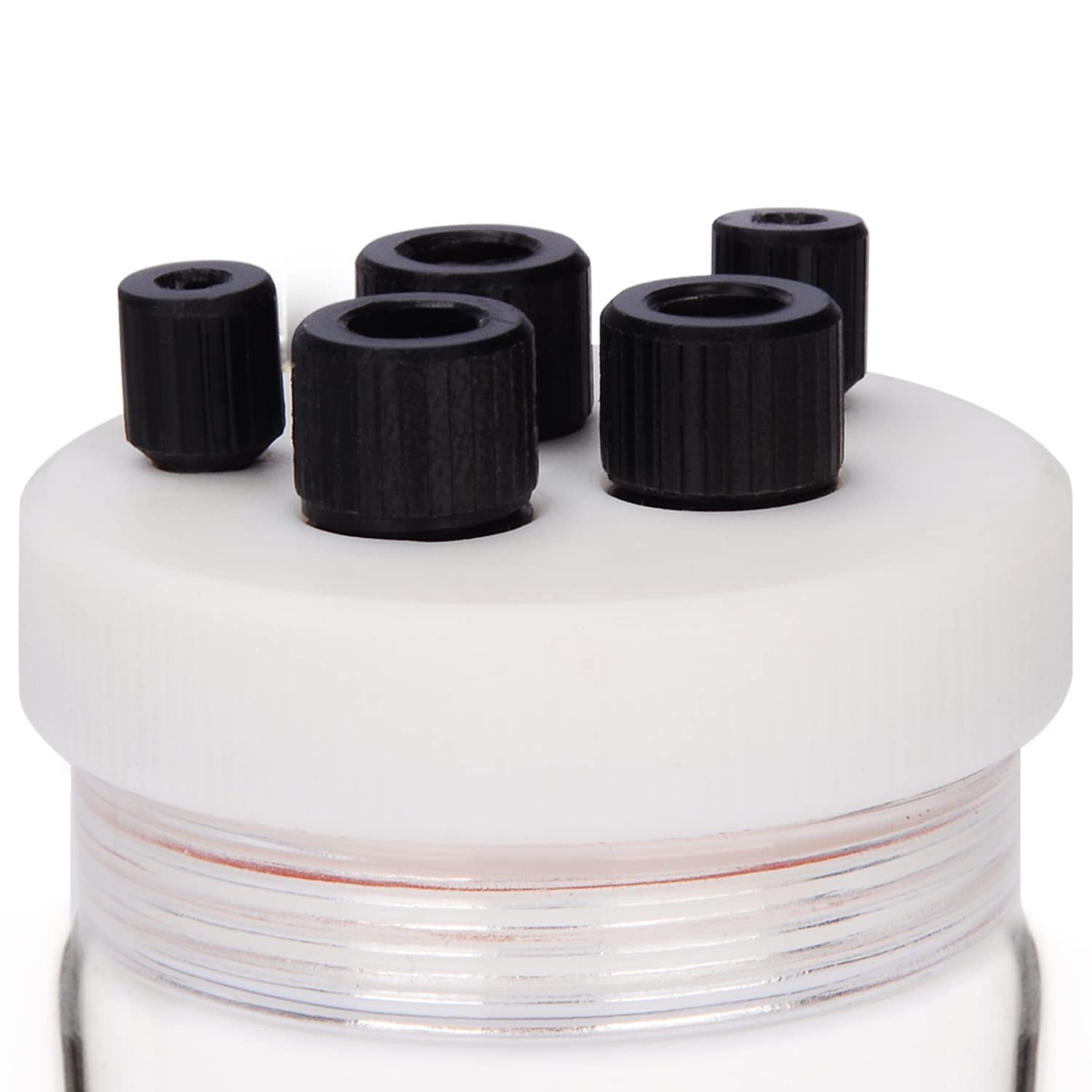 stonylab Elektrolytzelle, Borosilikat-versiegelte Elektrochemikalie Zellen-Kit Reaktor Elektrolyseur mit 5-Loch-PTFE-Deckel, 100 ml