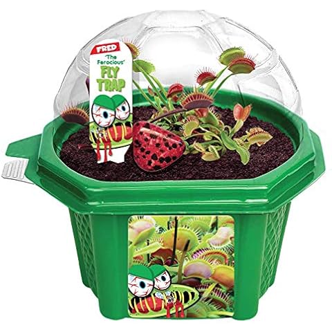 Toys By Nature Character Micro Domes Fred The Ferocious Flytrap Terrarium with Genuine Jasper Stone! (Fred The Ferocious Flytrap) Cover