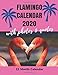 Flamingo Calendar 2020 - 12 Month Calendar with Photos & Quotes: 12 Monthly Wall Calendar for Flocking Fabulous Flamingo Fans - Quotes & Pictures