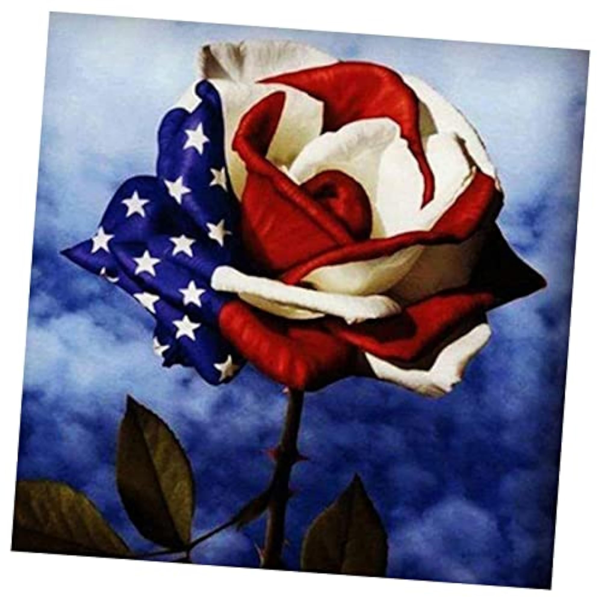 Modern 5D Diamond Painting Kits for Home Wall Decor