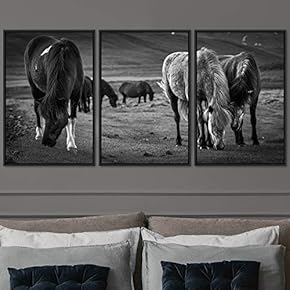 signwin 3 Piece Framed Canvas Wall Art Horsing...