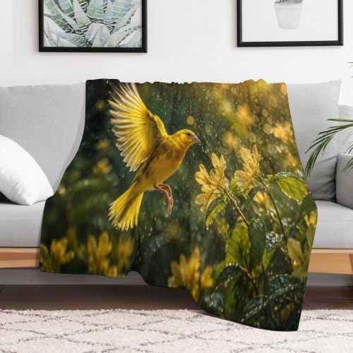 TBDUEPS Canaries Through Raindrops Plaid Doux 50"x70", pour Salon