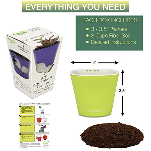 Window Garden – Aquaphoric Self Watering Mini Planter Pots (3 Pack) – Grow On Indoor Sill. Perfect for Potting Small Plants, Herbs, African Violets, Succulents, or Start Seedlings. - Thumbnail 4