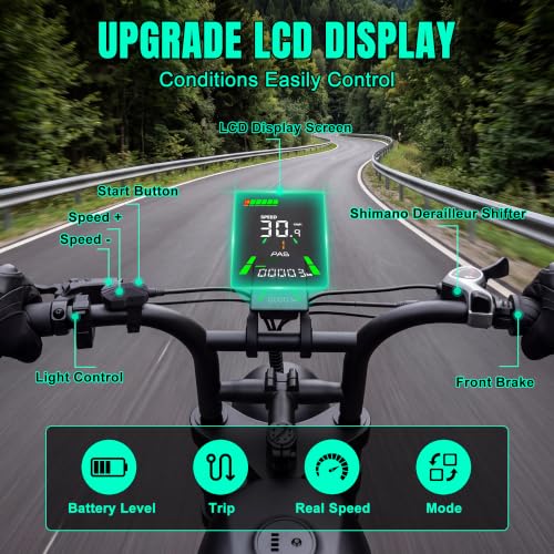 FLIWIN 1500W Peak Electric Bike