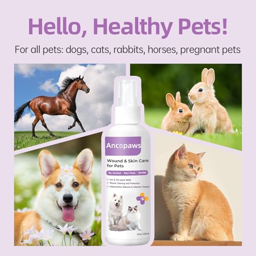 Ancopaws Hot Spot Treatment for Dogs & Cats - Pet Allergy Itch Relief and Wound Care Spray - Dog Skin Irritation & Infection Treatment - Lick Safe for All Animals - Thumbnail 5
