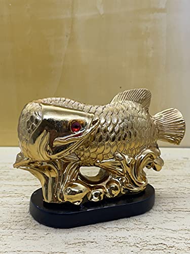 Image of Fengshui Exclusive Small Size Set of 1 Polyresin Golden Arowana Fish Looking Back Showpiece for Office Decor, Home Decoration (AF-2561)
