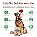 NutriChomps Dog Chews, 5 inch Twists, Mint Flavor, 10 Count, Easy to Digest, Rawhide Free, Holiday Stocking Stuffer Treats, Christmas Gift for Dogs