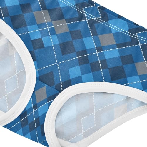 Blue Checkerboard Toddler Girls's Underwear 2T 23008914