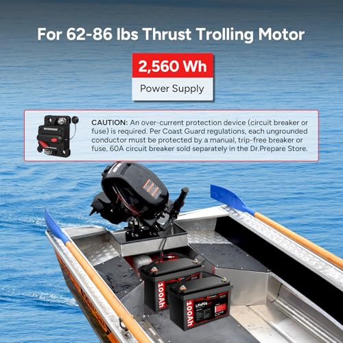 image for DR.PREPARE 12V 100Ah LiFePO4 Battery, Lithium Batteries 12v with 100A 