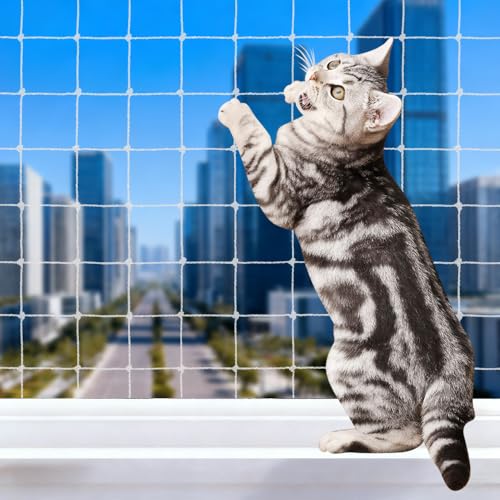 Katzennetz für Balkon, Katzenschutz Balkon Ohne Bohren 10x3m, Transparent Nylon Balkonnetz für Katzen, Katzenschutznetz, katzengitter balkon Können...