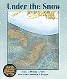 Under the Snow
