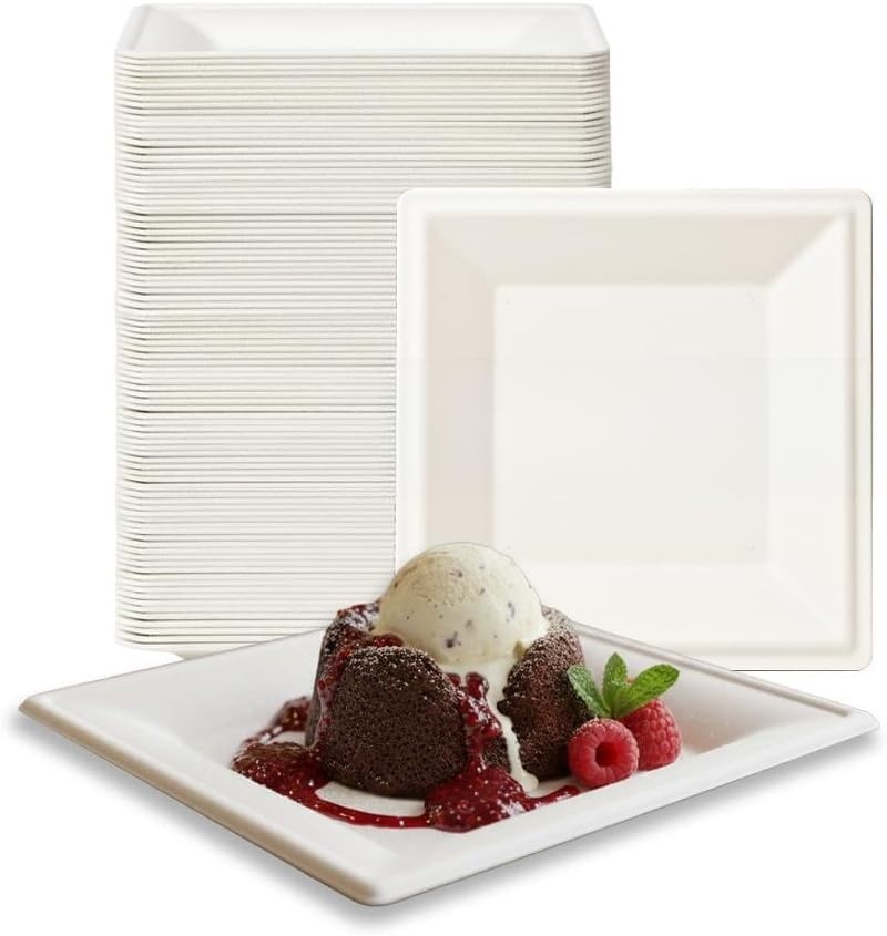 Compostable Square Plates 6 in 250 pack, Biodegradable Eco-Friendly Dinnerware, Disposable Party Plates for Hot & Cold Food