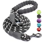 Reflective Dog Leash with Padded Handle, Heavy Duty Lead for Large, Medium, and Small Dogs, 1.5cm x 2m (Black)