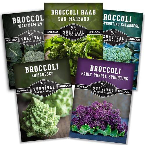 Broccoli Seeds for Planting 5 Varieties - Survival Garden Seeds