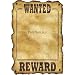 Western Wanted Sign (slotted to hold 8 x10 photo) Party Accessory  (1 count)