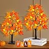 [2 Pack & Timer] 24 Inch Artificial Fall Lighted Maple Tree 24 LED Prelit Fall Decor Table Lights Battery Operated Detachable Tabletop Maple Tree for Indoor Home Thanksgiving Harvest Fall Decorations