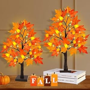 [2 Pack & Timer] 24 Inch Artificial Fall Lighted Maple Tree 24 LED Prelit Fall Decor Table Lights Battery Operated Detachable Tabletop Maple Tree for Indoor Home Thanksgiving Harvest Fall Decorations