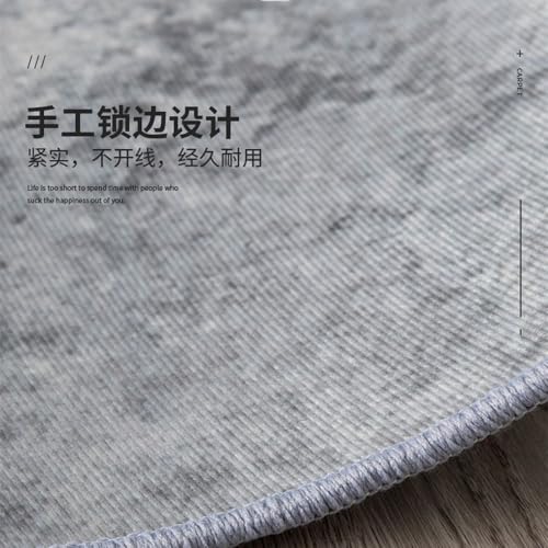 Tapis de salon gris 200x300cm grand format style nordique moderne