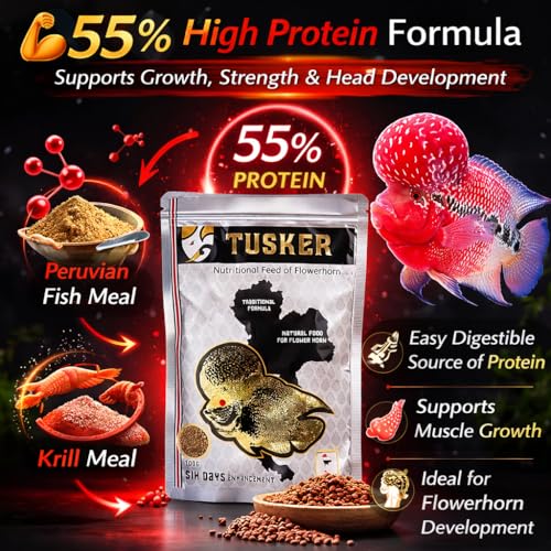 Image of VAYINATO Tusker Nutritional Feed Of Flowerhorn Fish Food(Original)Pouch,100G|Traditional Formula,Natural Food For Flowerhorn With 55% Protein