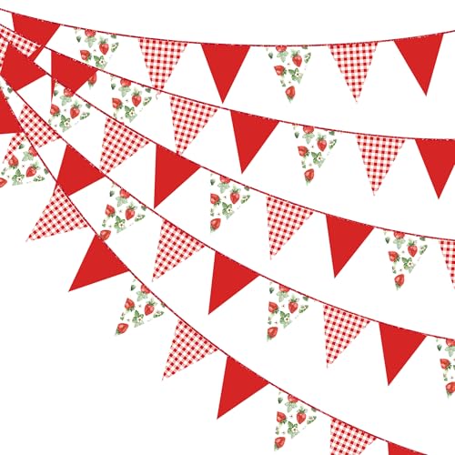 Image of Strawberry Party Decorations Red Plaid Floral Strawberry Pennant Banner Flag Hanging Paper Triangle Bunting for Birthday Wedding Bridal Shower Engagement Bachelorette Party Supplies