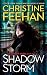 Shadow Storm (A Shadow Riders Novel)