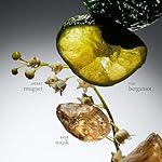 philosophy amazing grace eau de toilette - clean & floral women's perfume - with notes of bergamot, muguet & musk - long lasting fragrance - Image 4