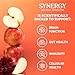 SYNERGY The Real Kombucha Honeycrisp Apple - 16 fl oz Bottle - Raw Probiotic Drink for Gut Health and Immune Support