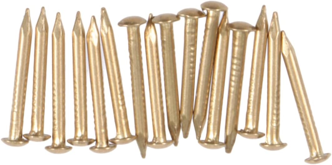Generic 300 Pcs Decorative Nails Furniture Fringe Nails Furniture Accesories Nails for Furniture Finge Brass Nails, As Shownx3pcs, 16L39V7S50FUJ9