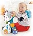 Fisher-Price Roller Blocks Tumblin' Zebra