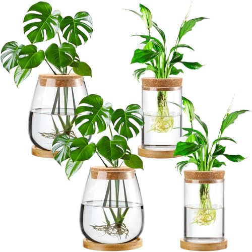 Layhit 4 Pcs Plants Propagation Stations vases Glass Planters with Wooden Lid and Bamboo Stand for...