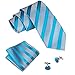 Hi-Tie Blue Grey Striped Tie Set for Business