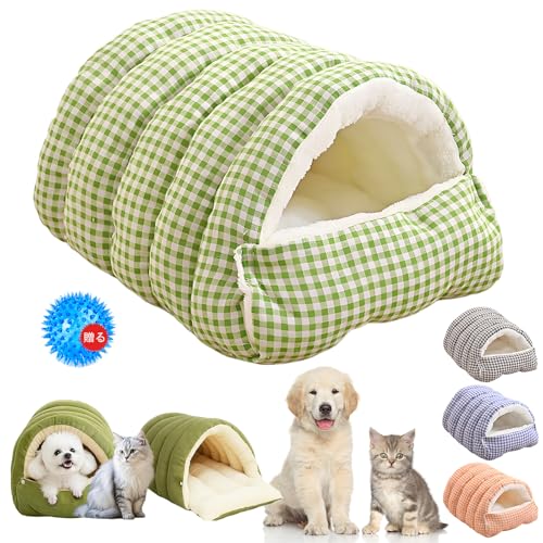 ybgxbh L ~  xbh  ^ Q 4WAYό`\ ӂӂ g NbV ybg}bg ʎgp \ ~ h΍ I[V[Y p q qL    Kybgpi ʔNgp {