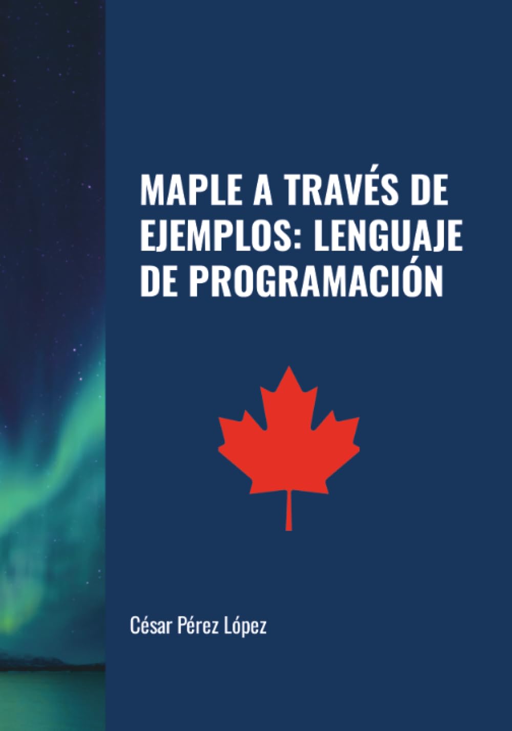 MAPLE A TRAVÉS DE EJEMPLOS: LENGUAJE DE PROGRAMACIÓN