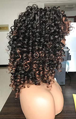 Prettiest Afro Curly Wigs Black With Warm Brown Highlights Wigs With Bangs For Black Women Natural Looking For Daily Wear (Ombre Brown) #TOP3