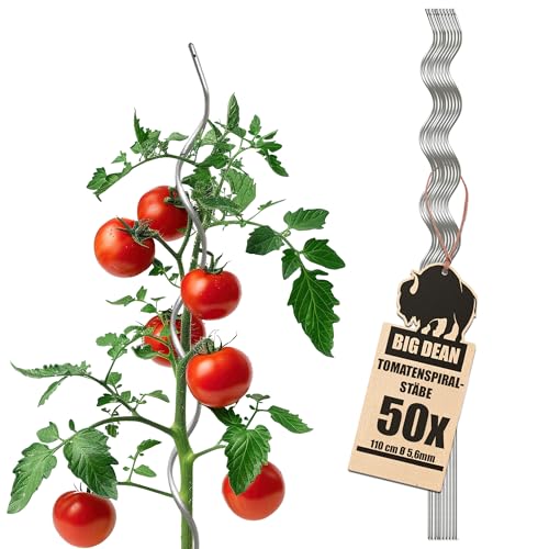 BigDean 50 Tomatenspiralstäbe 110cm voll verzinkt Tomatenstab Tomaten Ranke Pflanzstab Stahl Profi Qualität Tomatenspiralstab