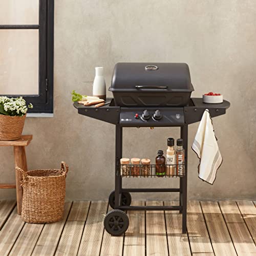 Alice's Garden Aramis Grill Carrello Gas 5500W