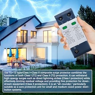 DEWIN Scaricatore di Sovratensione,2P AC 275V 25KA~50KA Dispositivo di Protezione Contro Le Sovratensioni Scaricatore di Sovratensione a Bassa Tensione della Casa per la Protezione Contro i Fulmini