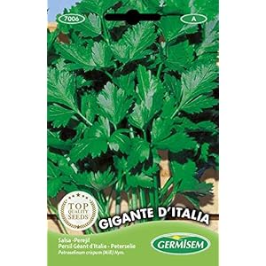 Germisem EC7006 Gigante D’Italia Peterselie Zaden 10 g