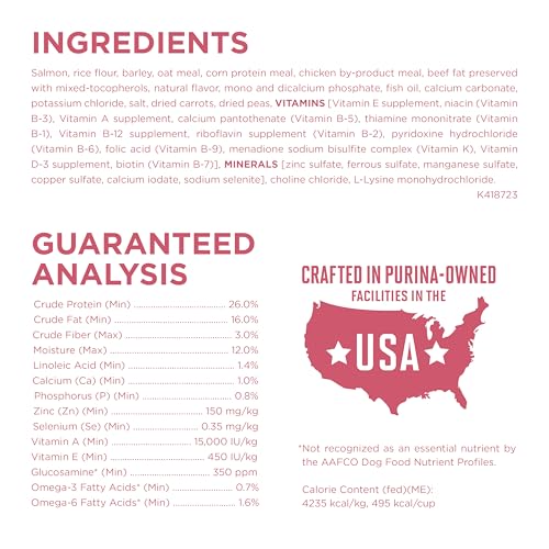 Purina ONE Natural, Sensitive Stomach Dry Dog Food, +Plus Skin & Coat Formula - 31.1 lb. Bag