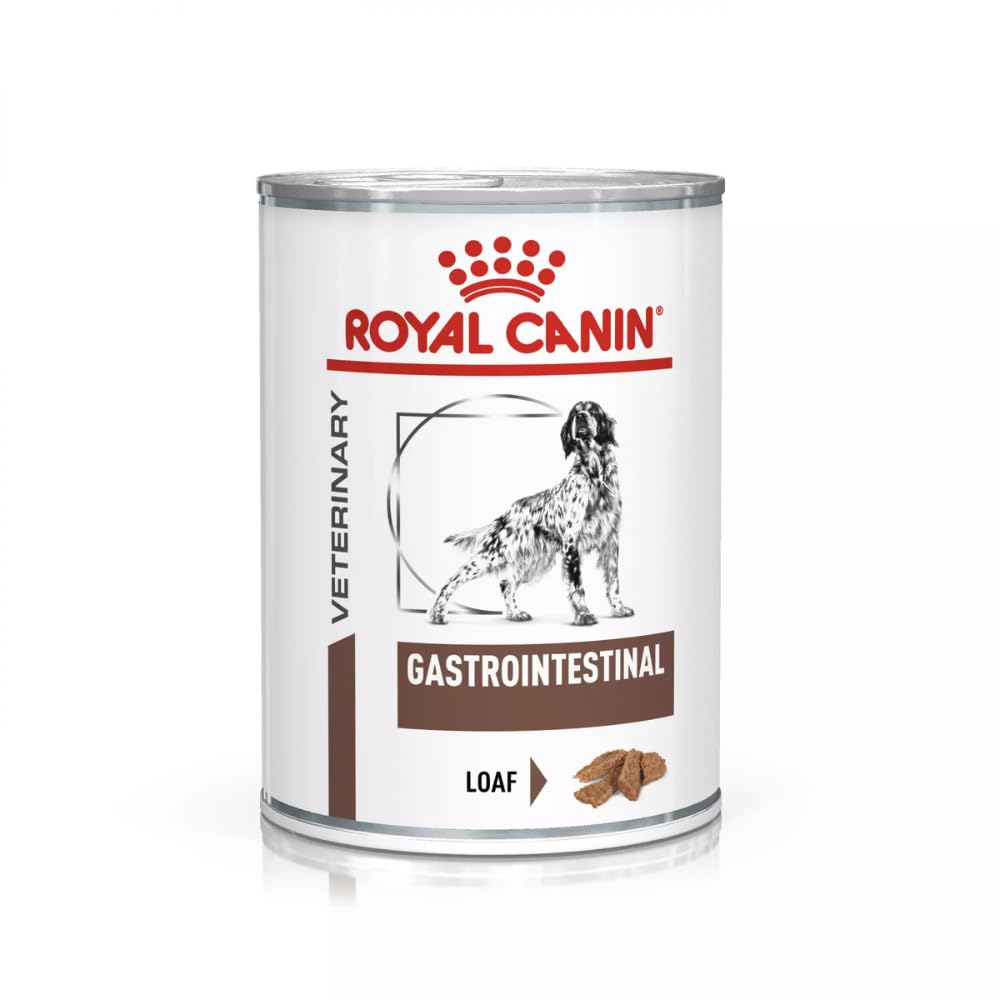 ROYAL CANIN Veterinary Gastrointestinal Mousse | 12 x 400g | Complete Food for Adult Dogs | For Treatment of Acute Intestinal Absorption Disorders